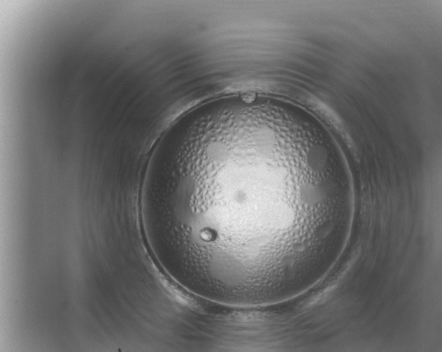 X0000072991041200607290008