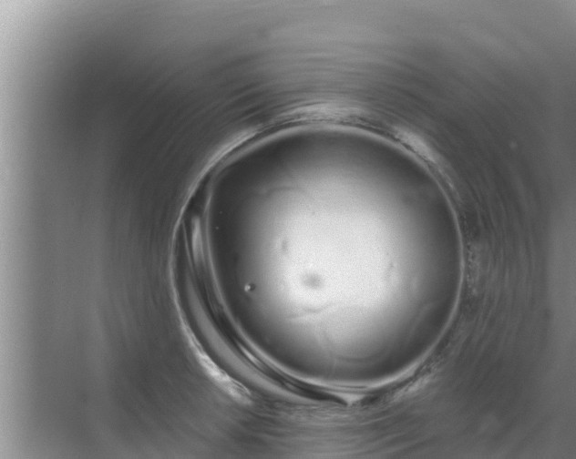 X0000072991042200607290008