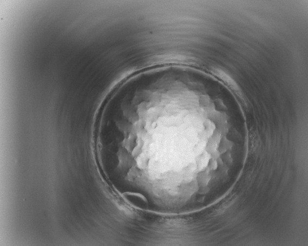 X0000072991043200607290008