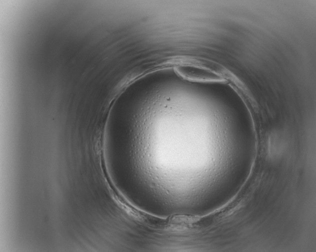 X0000072991049200607290008