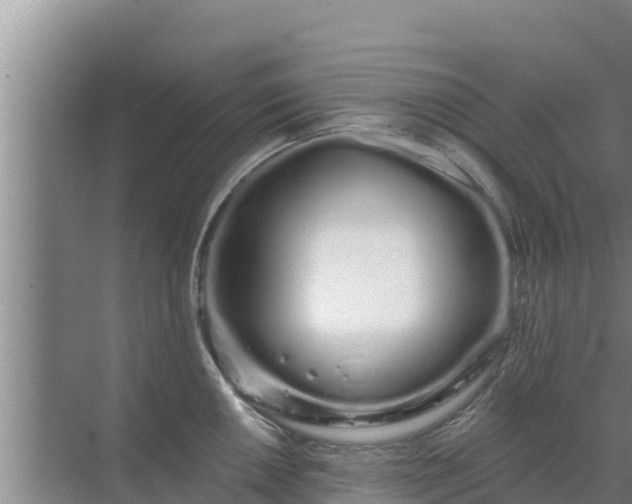 X0000072991050200607290009