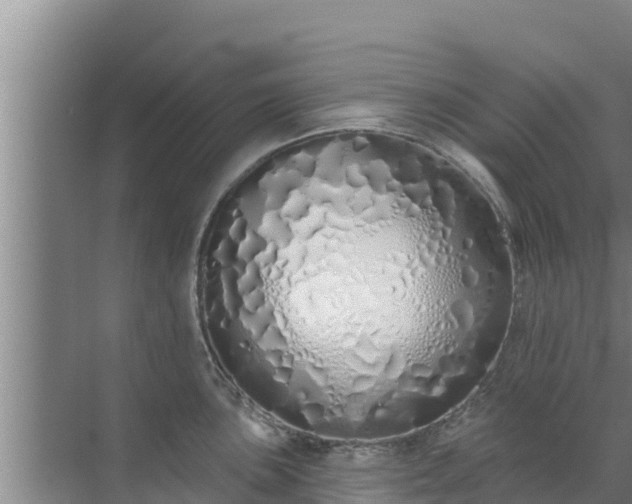 X0000072991051200607290009