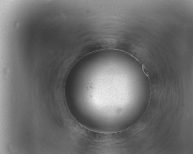 X0000072991057200607290008