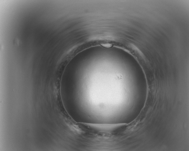 X0000072991064200607290008