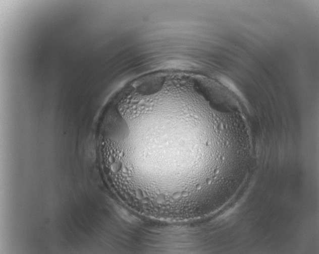 X0000072991067200607290008