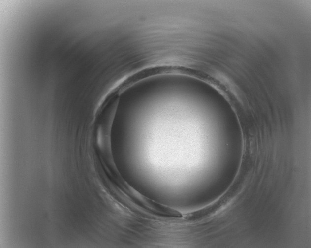 X0000072991069200607290008