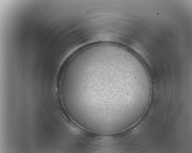 X0000072991070200607290008