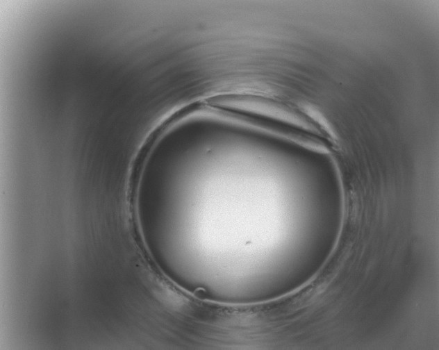 X0000072991071200607290008