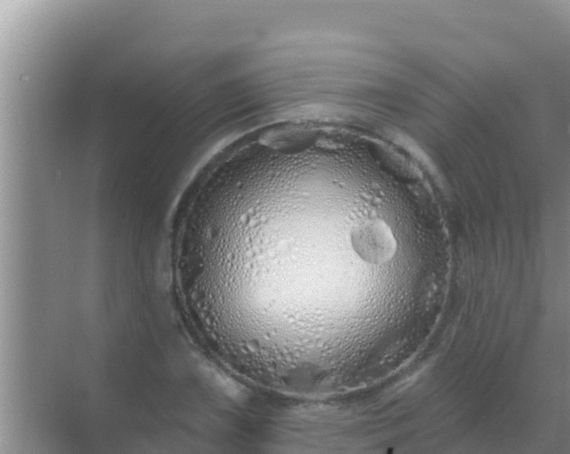 X0000072991075200607290007