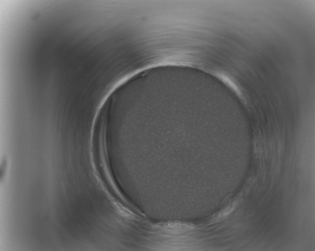 X0000072991077200607290007