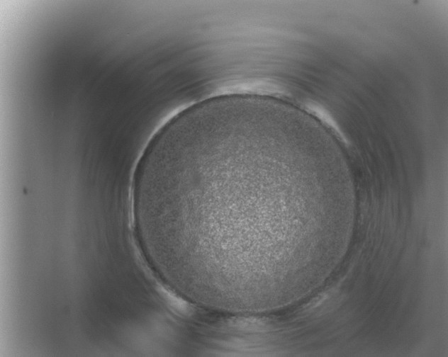 X0000072991079200607290007