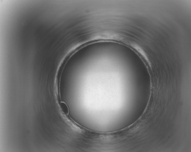 X0000072991080200607290007