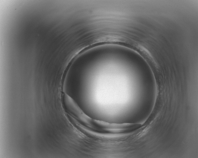 X0000072991081200607290007