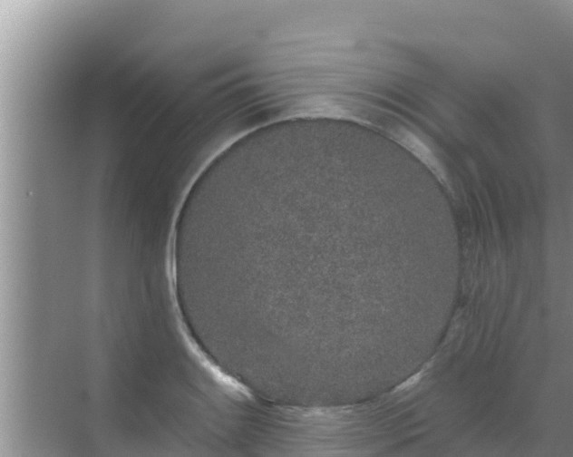 X0000072991084200607290007