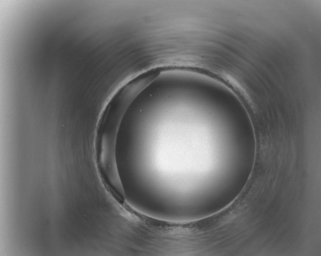 X0000072991085200607290007