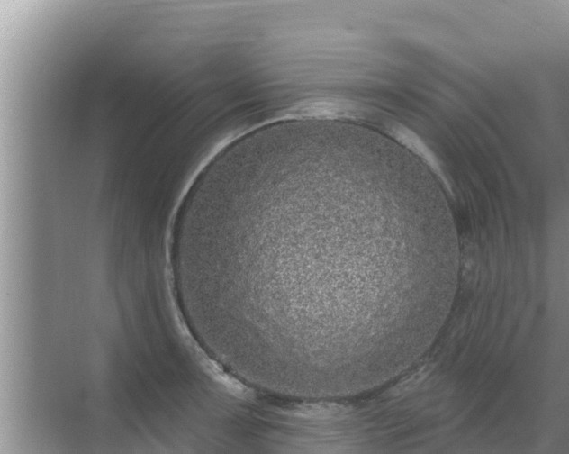 X0000072991091200607290007