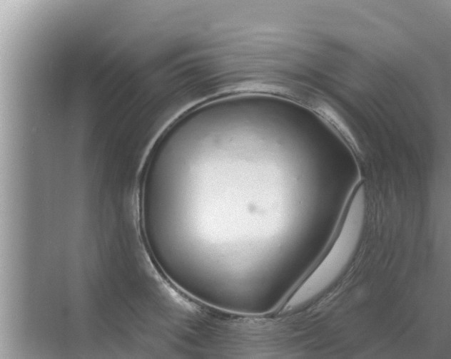 X0000072991092200607290007