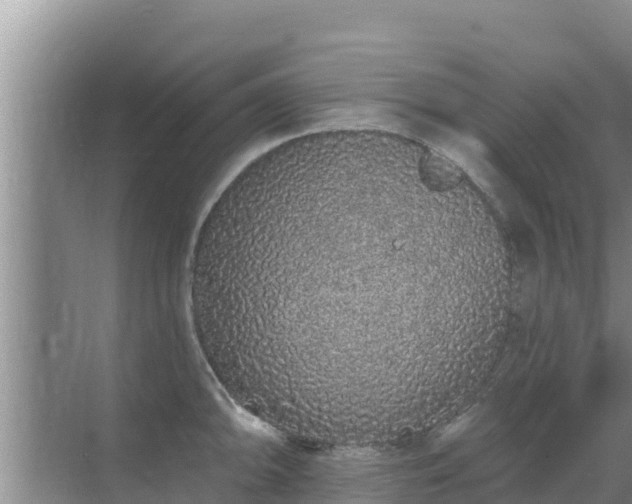 X0000072991094200607290007