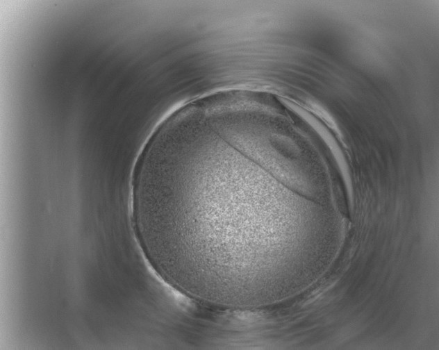 X0000072991095200607290007