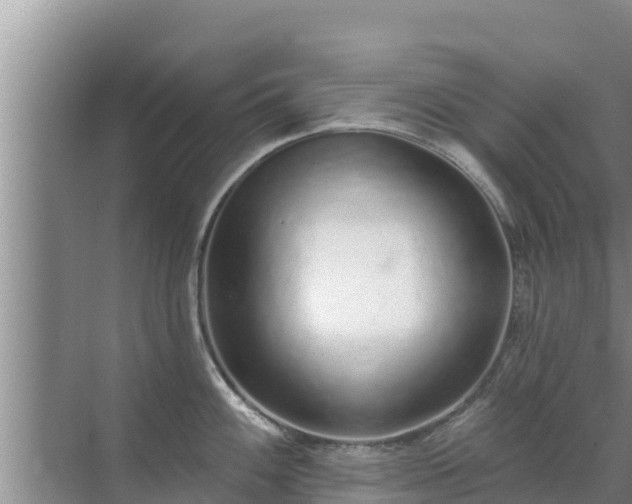 X0000072991100200607290007