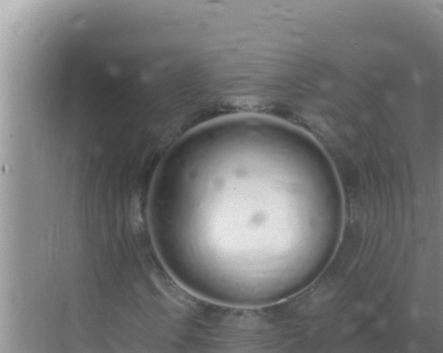 X0000072991106200607290006