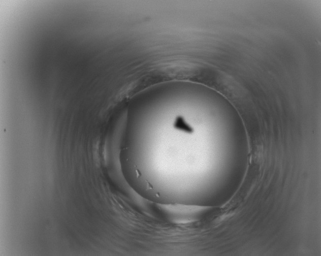 X0000072991108200607290006