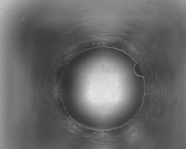 X0000072991109200607290006