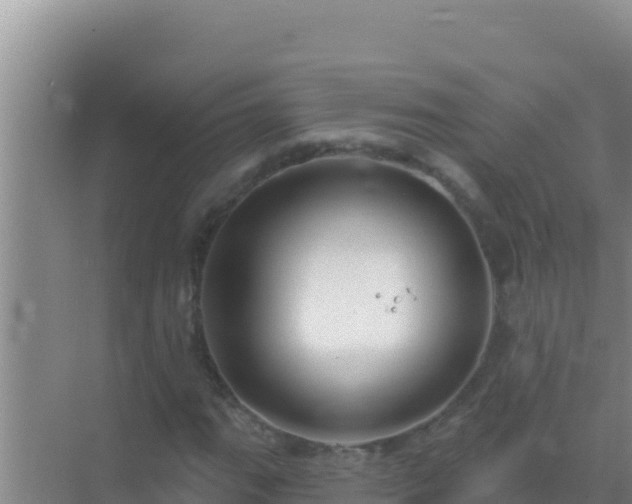 X0000072991111200607290006