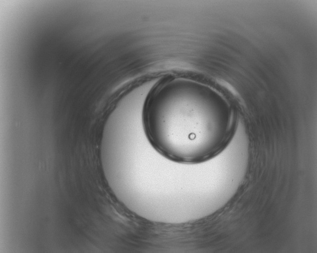 X0000072991112200607290006