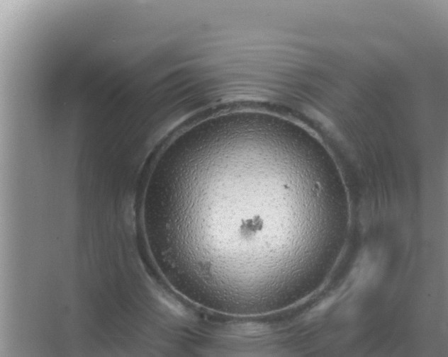 X0000072991113200607290006