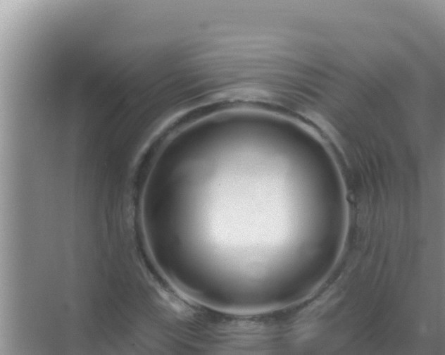 X0000072991115200607290006