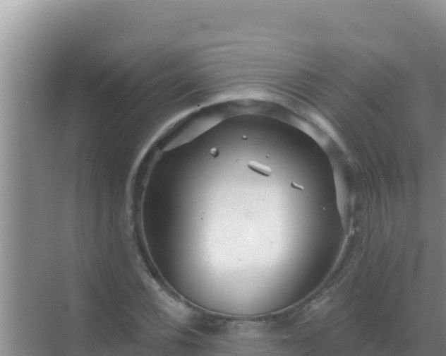 X0000072991116200607290006