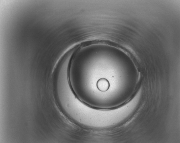 X0000072991118200607290006