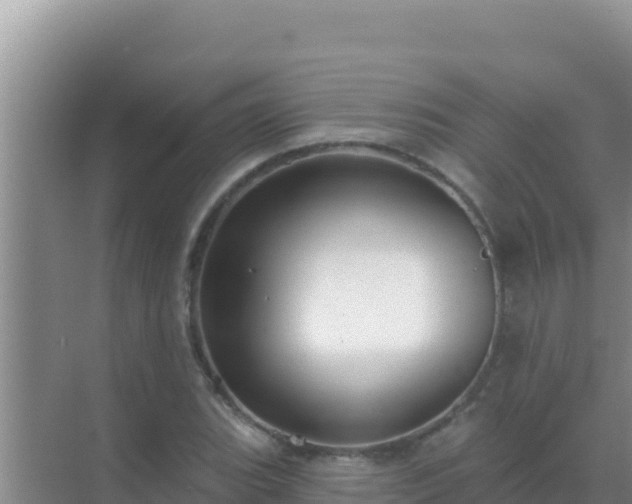 X0000072991119200607290006