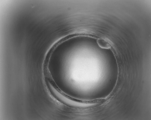 X0000072991120200607290006