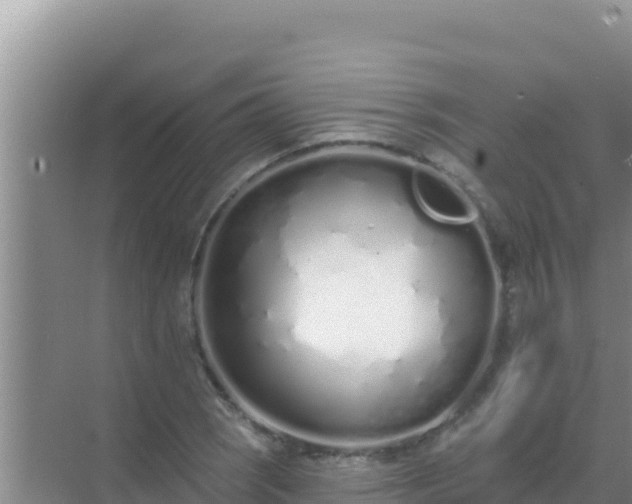 X0000072991121200607290006