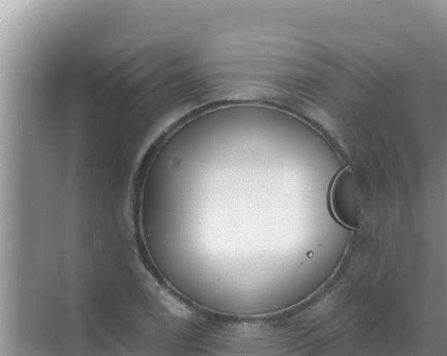 X0000072991122200607290006