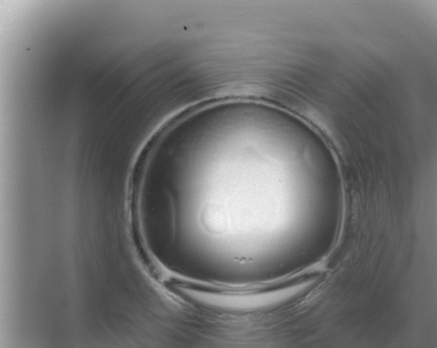 X0000072991124200607290007