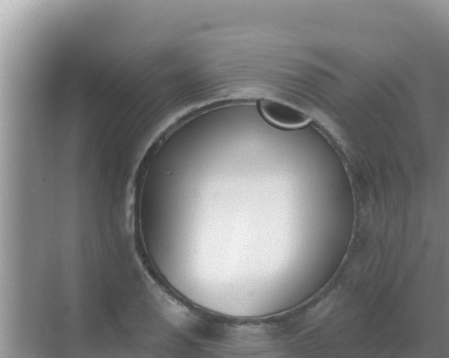 X0000072991126200607290007