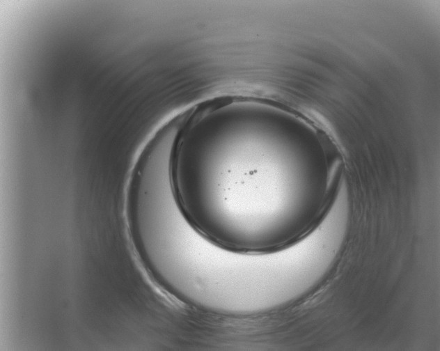 X0000072991128200607290007