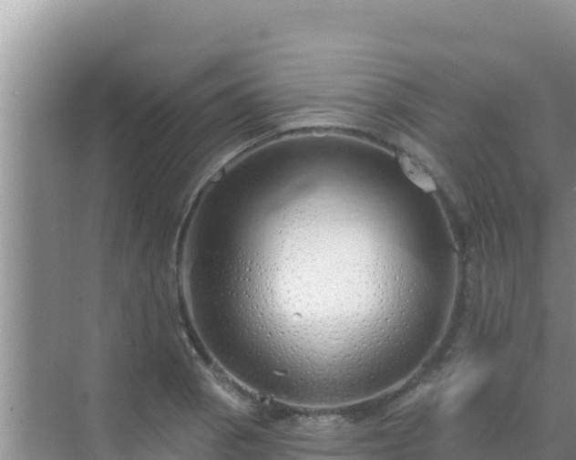 X0000072991129200607290007