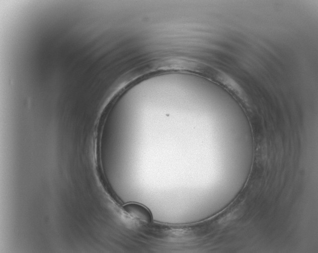 X0000072991130200607290007