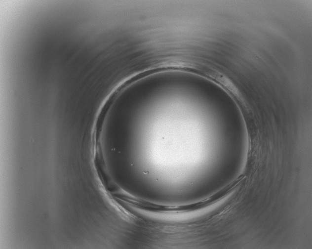 X0000072991132200607290007