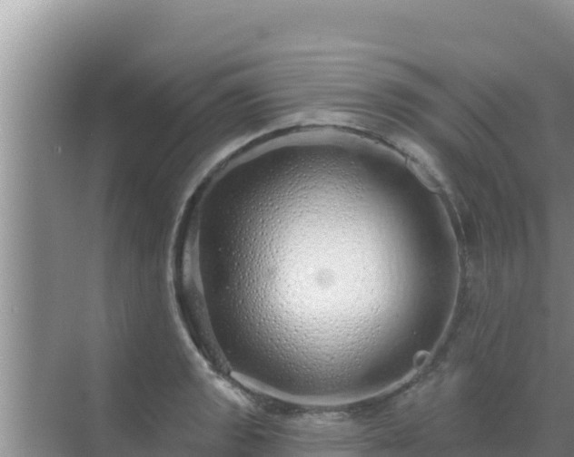 X0000072991133200607290007