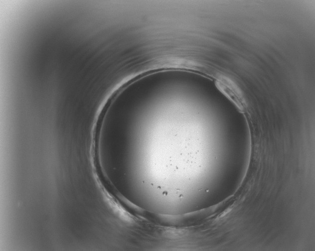 X0000072991136200607290007