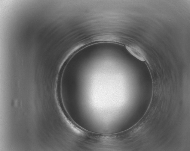 X0000072991139200607290007