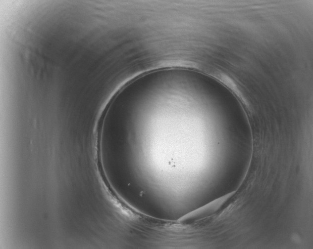 X0000072991140200607290007