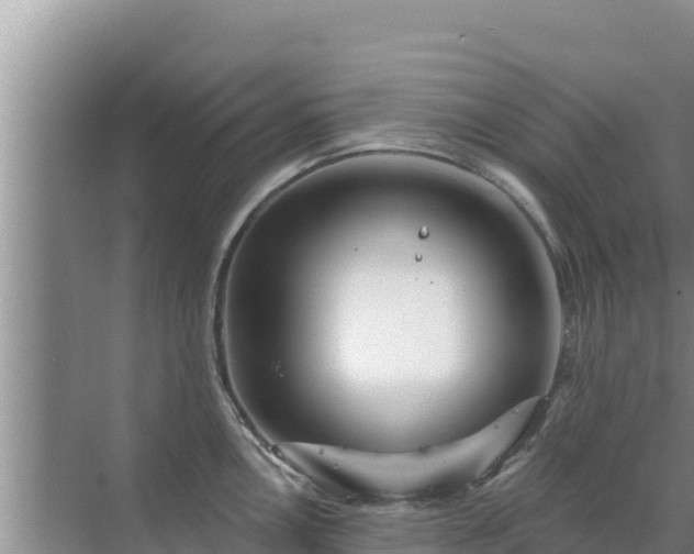 X0000072991146200607290007