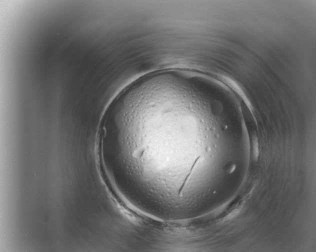 X0000072991149200607290007