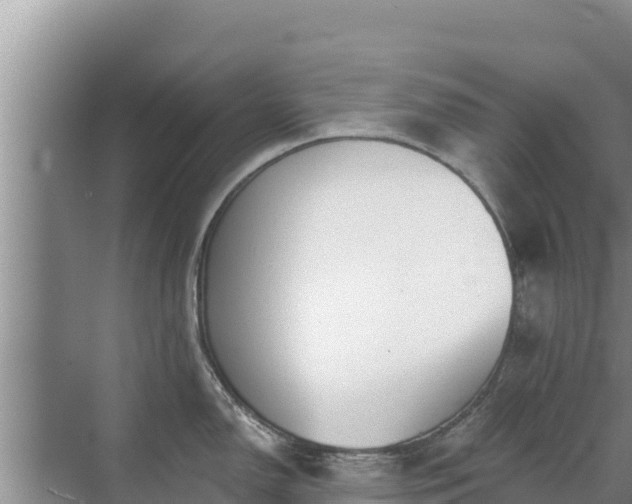 X0000072991150200607290007